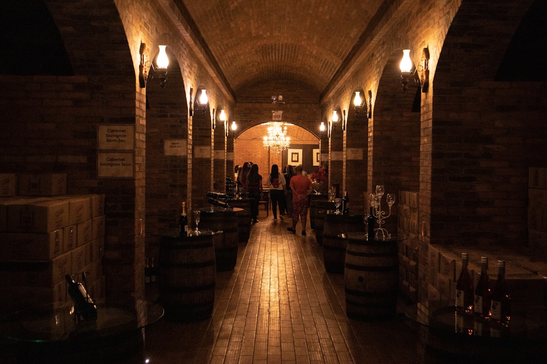 Optimal opbevaring af vin: Få mest muligt ud af din vinkælder